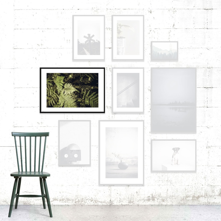 Poster 100x70 "Fernature" Poster 100x70 "Fernature"